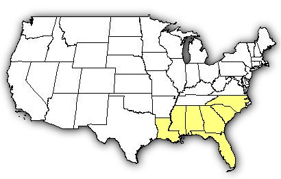 Map of US states the Eastern Coral Snake is found in.