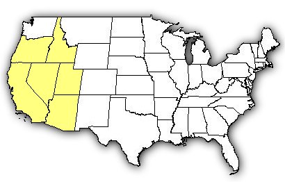 Map of US states the Great Basin Rattlesnake is found in.