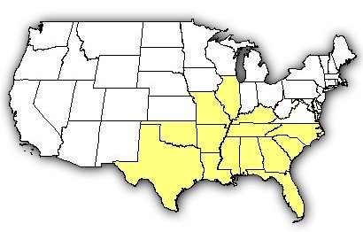 Map of US states the Southern Copperhead is found in.
