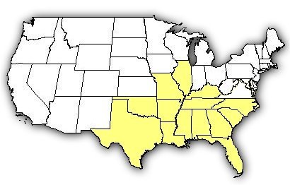 Karte der US-Bundesstaaten, in denen der Southern Copperhead vorkommt.