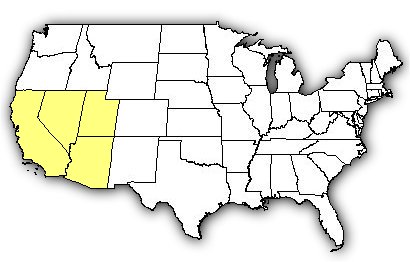Map of US states the Southwestern Speckled Rattlesnake is found in.