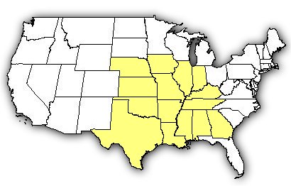 Map of US states the Brown Recluse is found in.