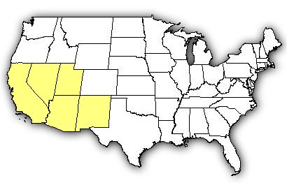 Map of US states the Desert Recluse is found in.